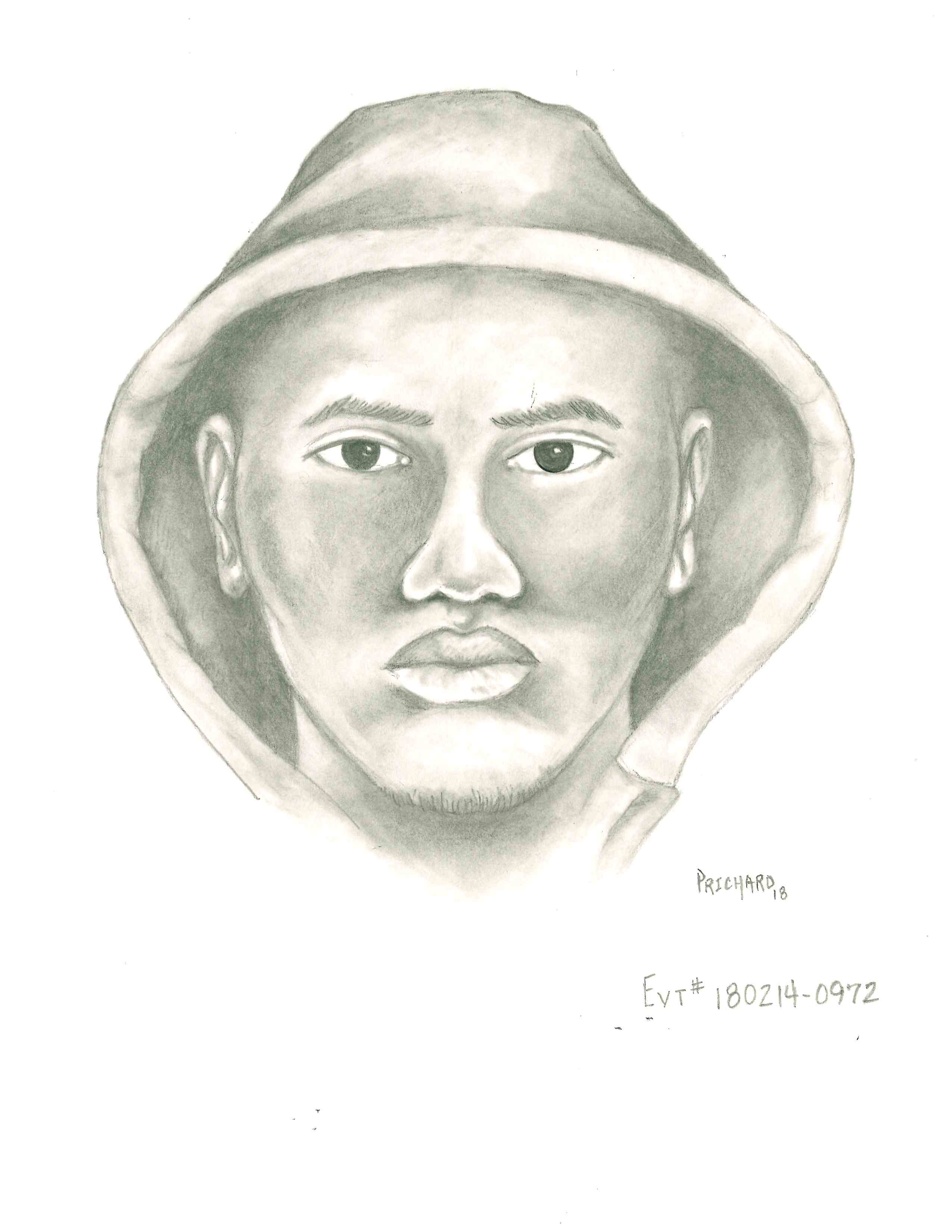 Sketch-Detectives Seek To Identify Burglary Suspect